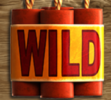 Wild_Bonanza_Slot